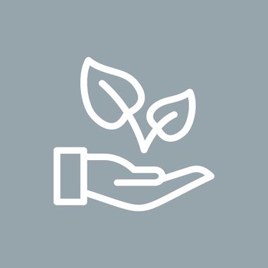 Baumbestattung in Bensheim