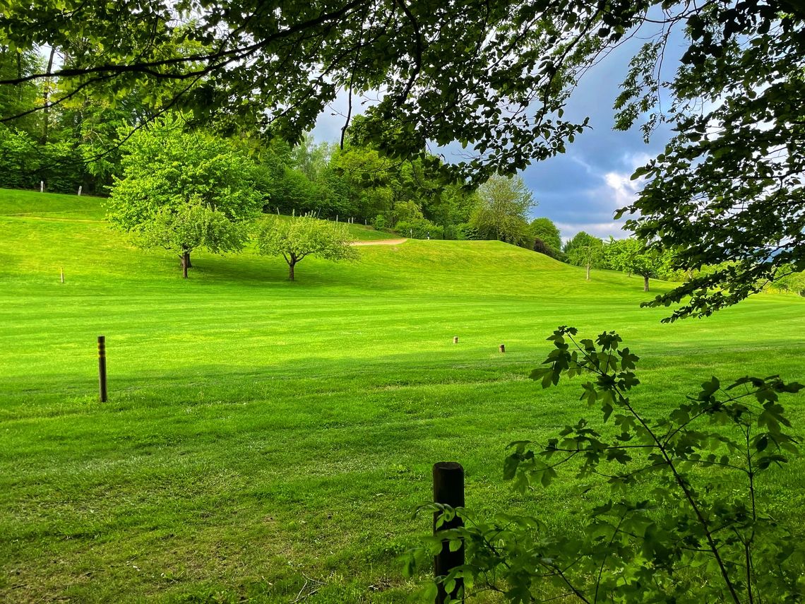 Naturfriedhof in Mühltal Naturfriedhof in Mühltal Traisa
